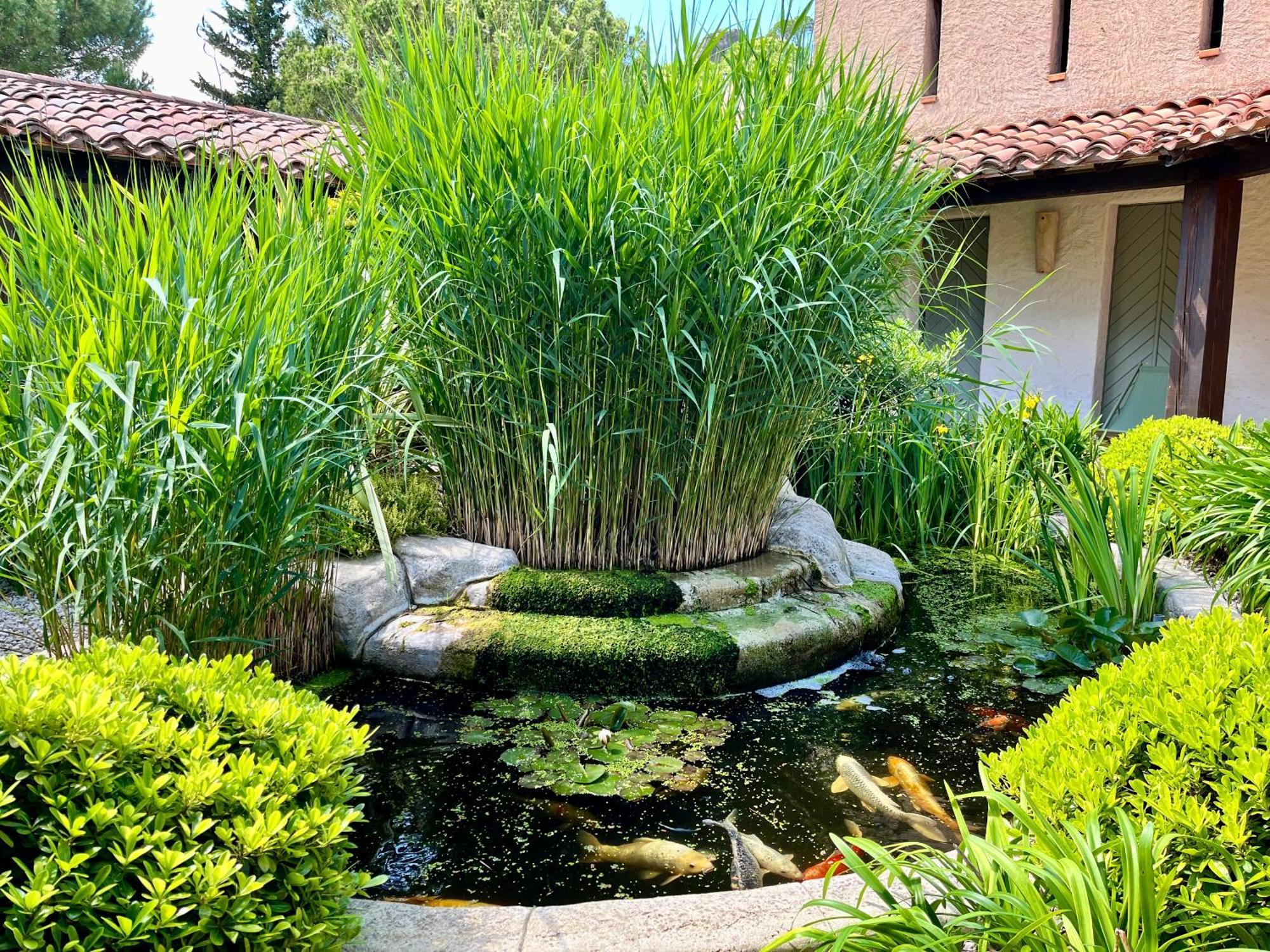 Auberge Val Moureze Hotel & Spa Eksteriør bilde